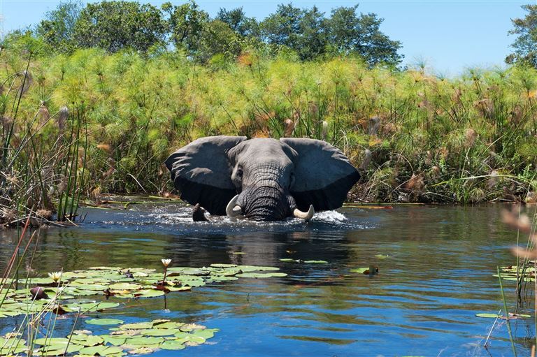 Botswana Kaleidoskop ©brytta/istock